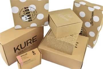 Expressz szállítás Dobozok -ban/-ben Zwijnaarde Belgium